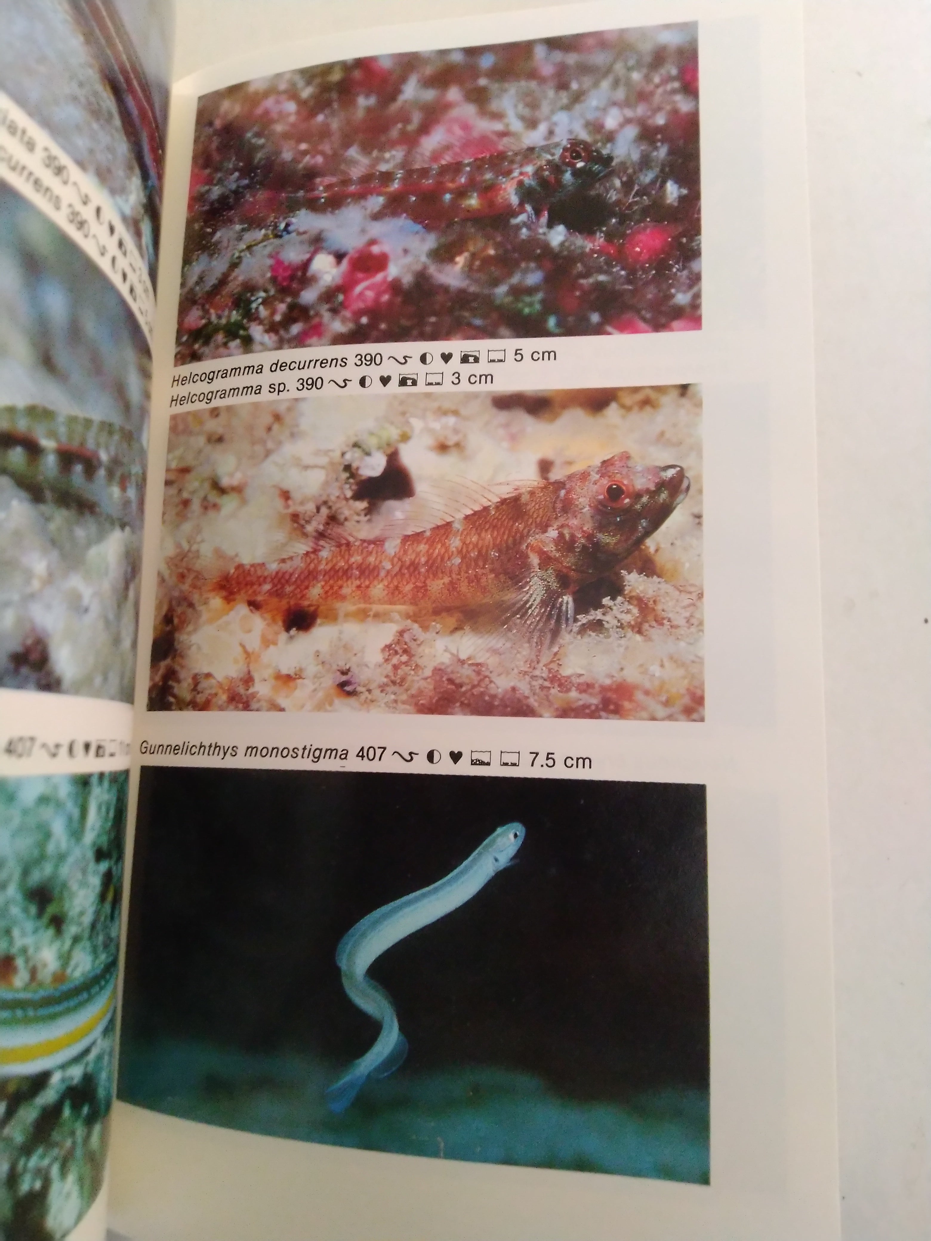 Dr. Burgess's Atlas of Marine Aquarium Fishes Second Edition by Dr. Warren E. Burgess