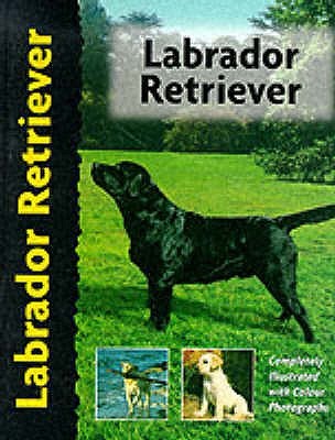 Labrador Retriever (Pet Love)  by Bernard Duke