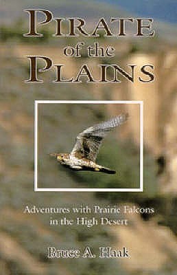 Pirate Of The Plains: Adventure With Prairie Falcons In The High Desert by Bruce Haak