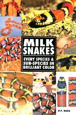 Milksnakes: every species & sub-species in brilliant color by Wil Mara