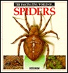 The Fascinating World Of Spiders by Maria Ángels Julivert