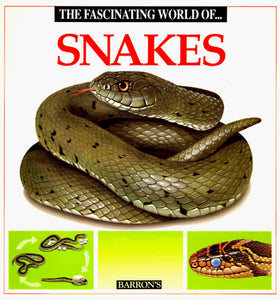 The Fascinating World Of Snakes by Maria Ángels Julivert