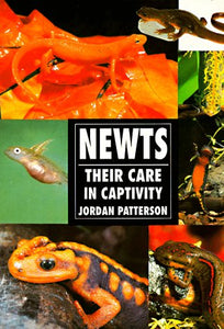 Newts: Their Care in Capitivity by Jordan Patterson