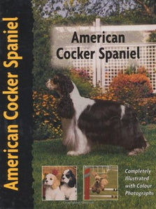 American Cocker Spaniel by Richard G. Beauchamp