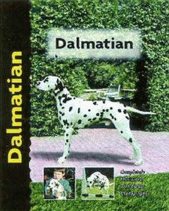 Dalmatian (Pet love) by Frances Camp