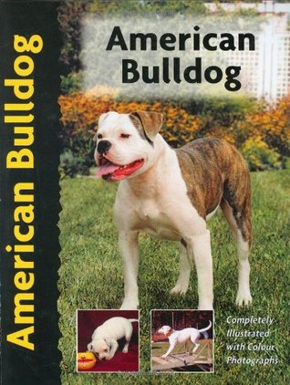 American Bulldog (Pet Love) by Abe Fishman