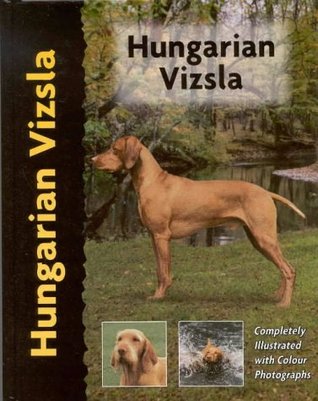 Hungarian Vizsla (Pet love) by Robert White