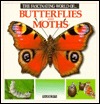 The Fascinating World of Butterflies and Moths by Maria Ángels Julivert