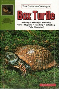 The Guide To Owning A Box Turtle by Jordan Patterson