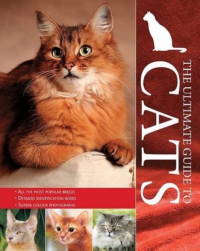 The Ultimate Guide To Cats Candida Frith-Macdonald
