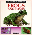 The Fascinating World of Frogs and Toads by Maria Ángels Julivert