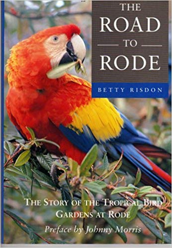 Road to Rode Paperback by Betty Risdon
