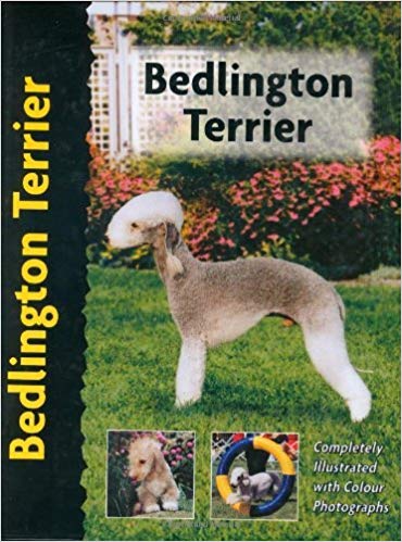 Bedlington Terrier (Pet Love) by Muriel P. Lee