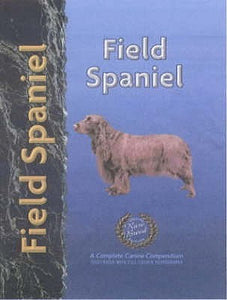 Field Spaniel  by Becky Jo Wolkenheim