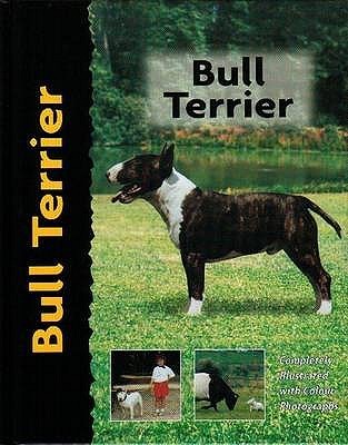 Bull Terrier by Bethany Gibson