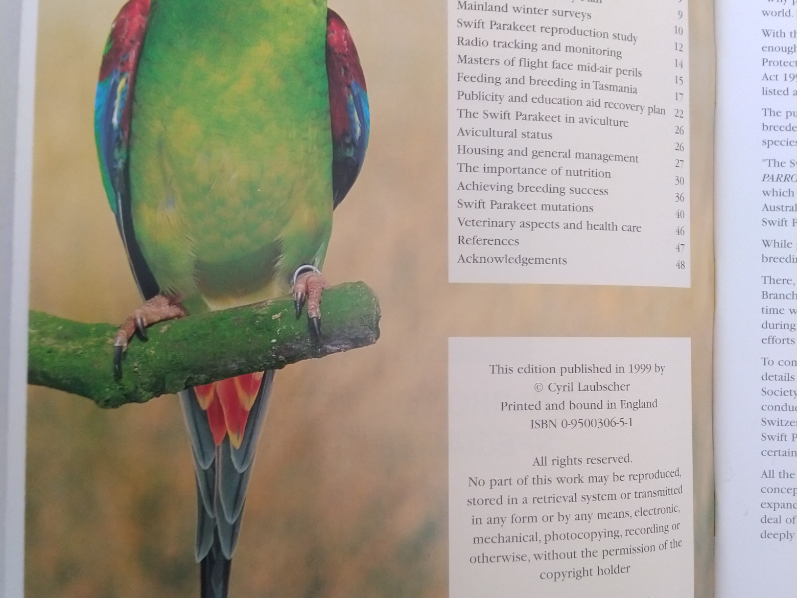 The Swift Parakeet by Cyril Laubscher