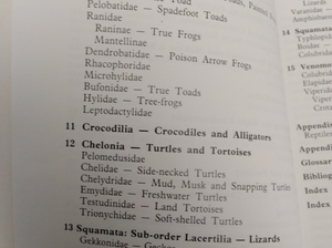 The Care of Reptiles and Amphibians in Captivity by Christopher Mattison