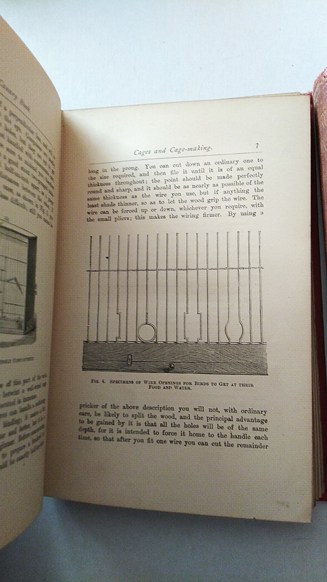 The Canary Book by R. Wallace Third edition 1893 in two sections