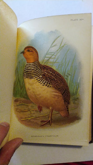 Lloyd's Natural History. A Handbook to the Game-Birds. Vols I & II  W R Oglivie-Grant