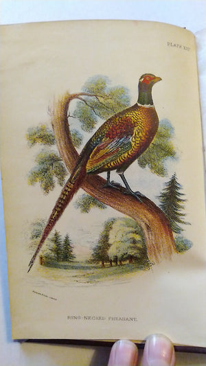 Lloyd's Natural History. A Handbook to the Game-Birds. Vols I & II  W R Oglivie-Grant