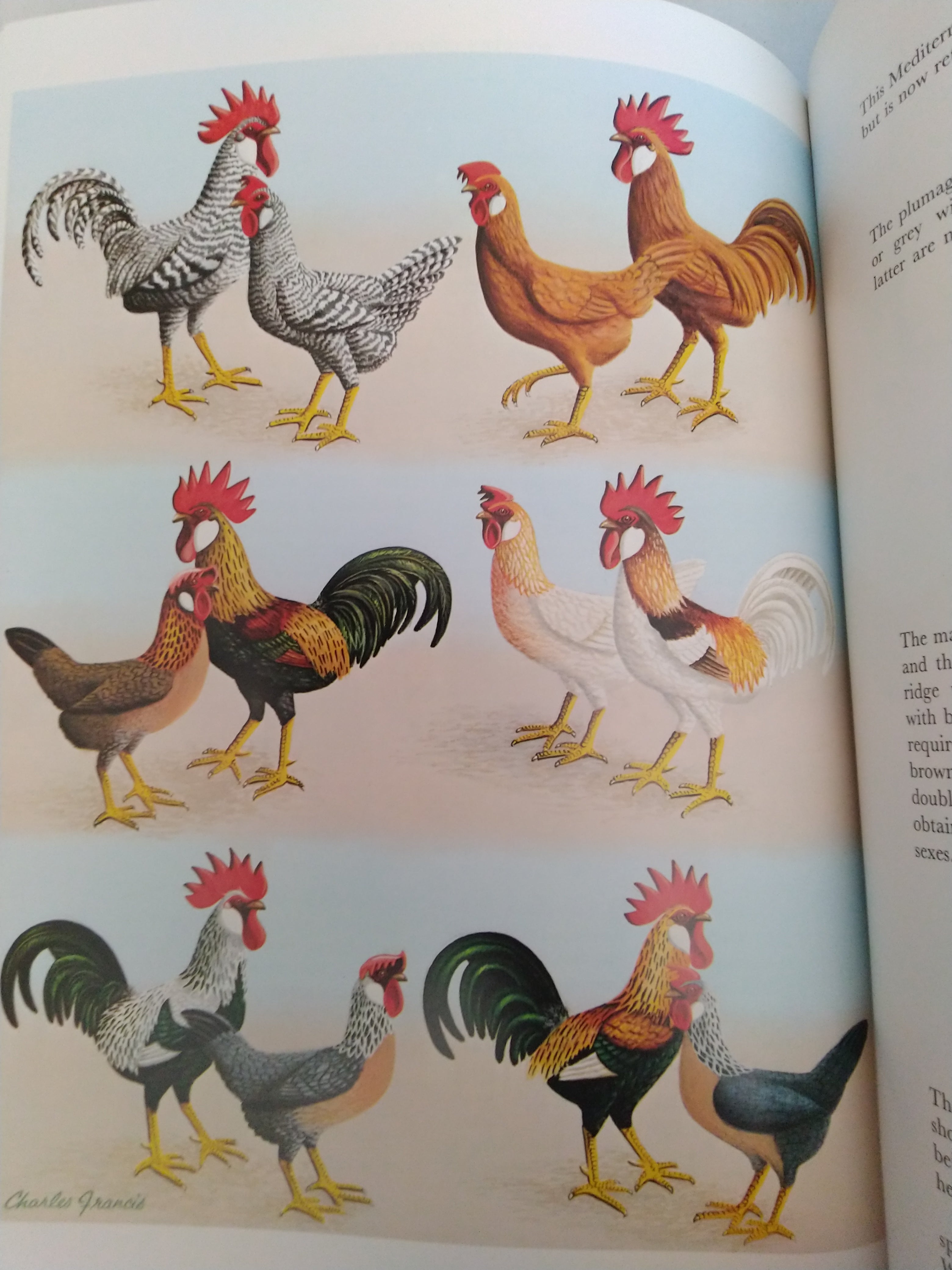 The Poultry Colour Guide by Dr. Joseph Batty New Edition 2001