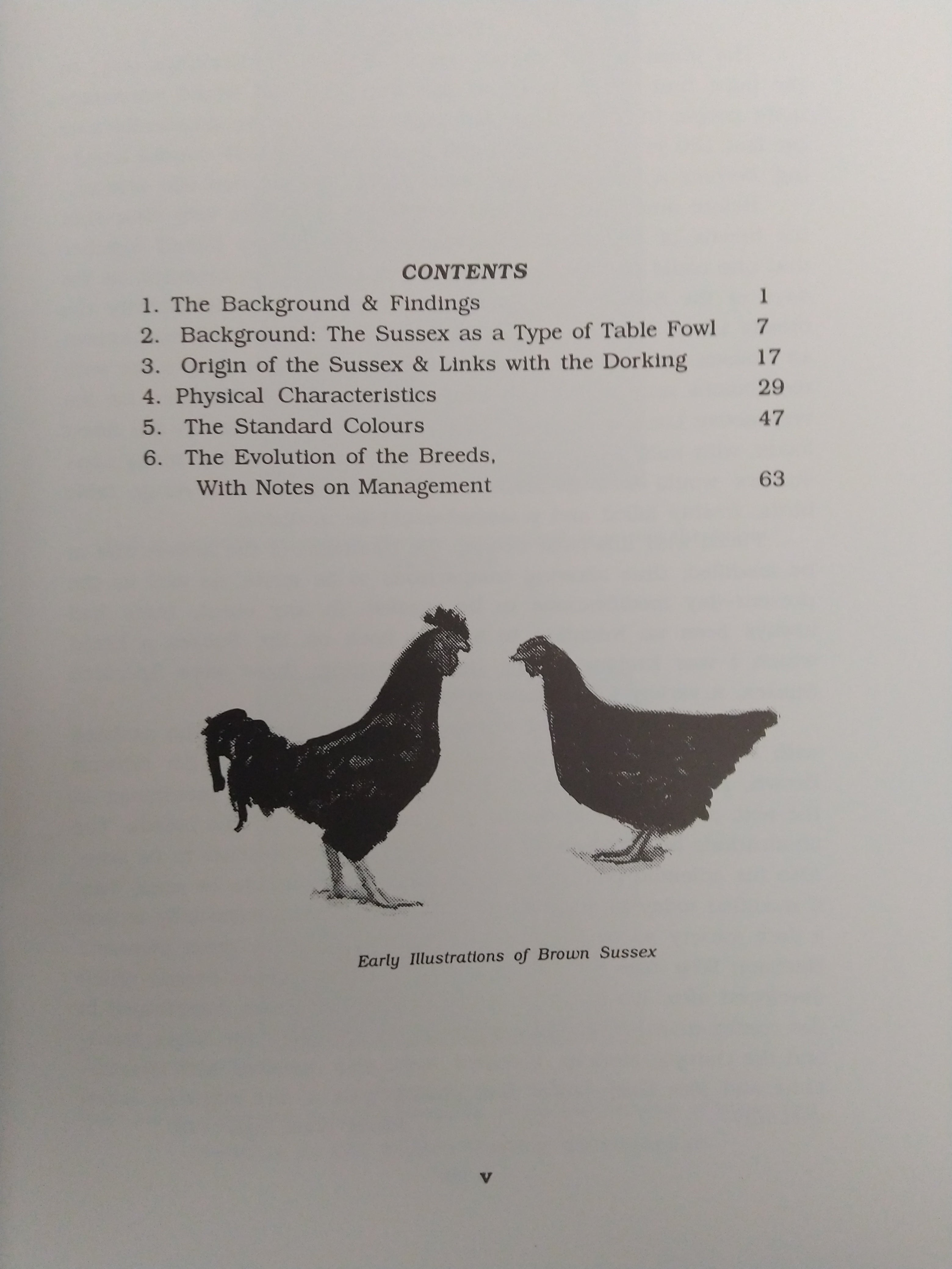 The Sussex and Dorking Fowls by Joseph Batty