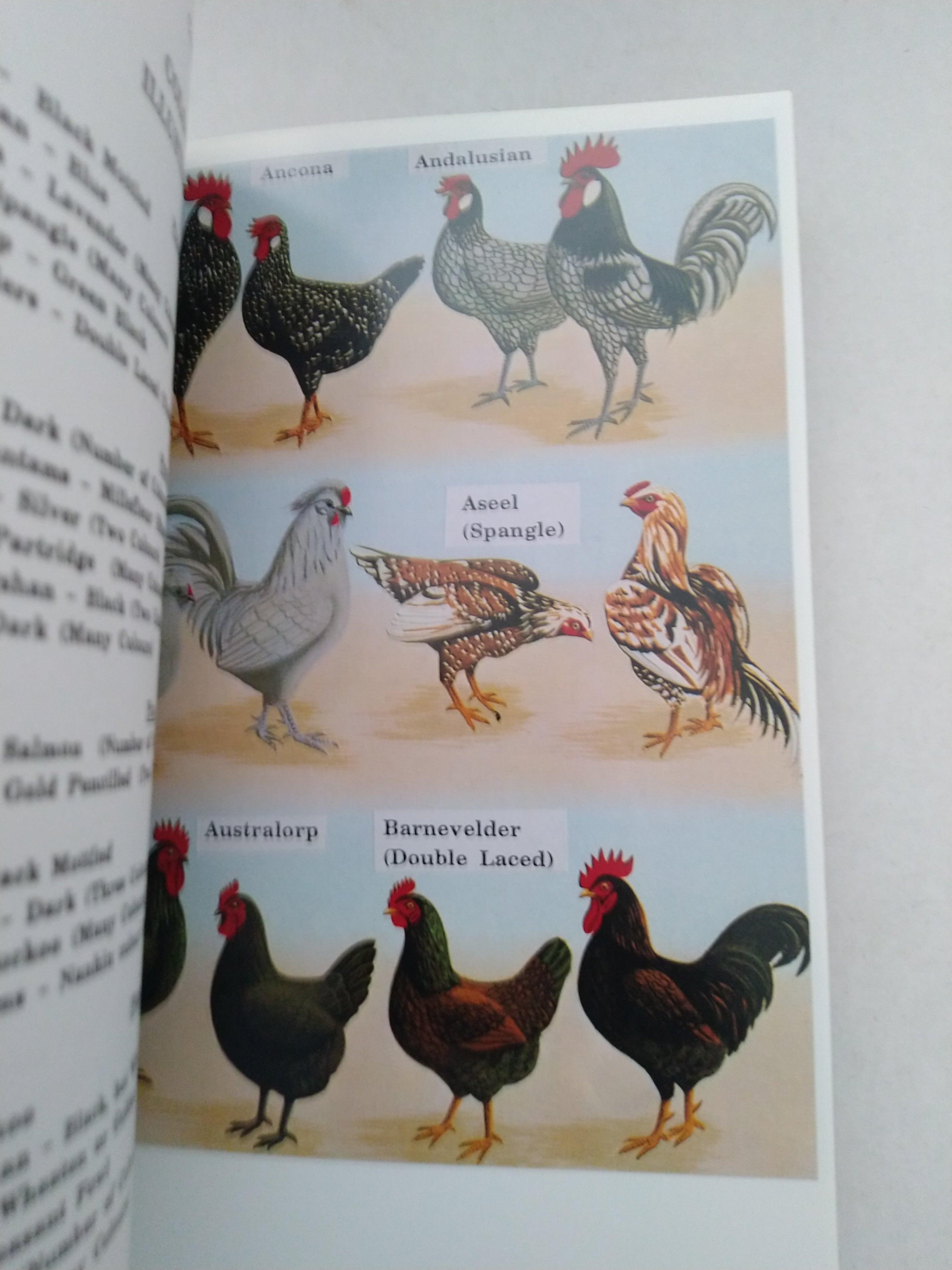 A Concise Poultry Colour Guide (International Poultry Library) by Dr. Joseph Batty