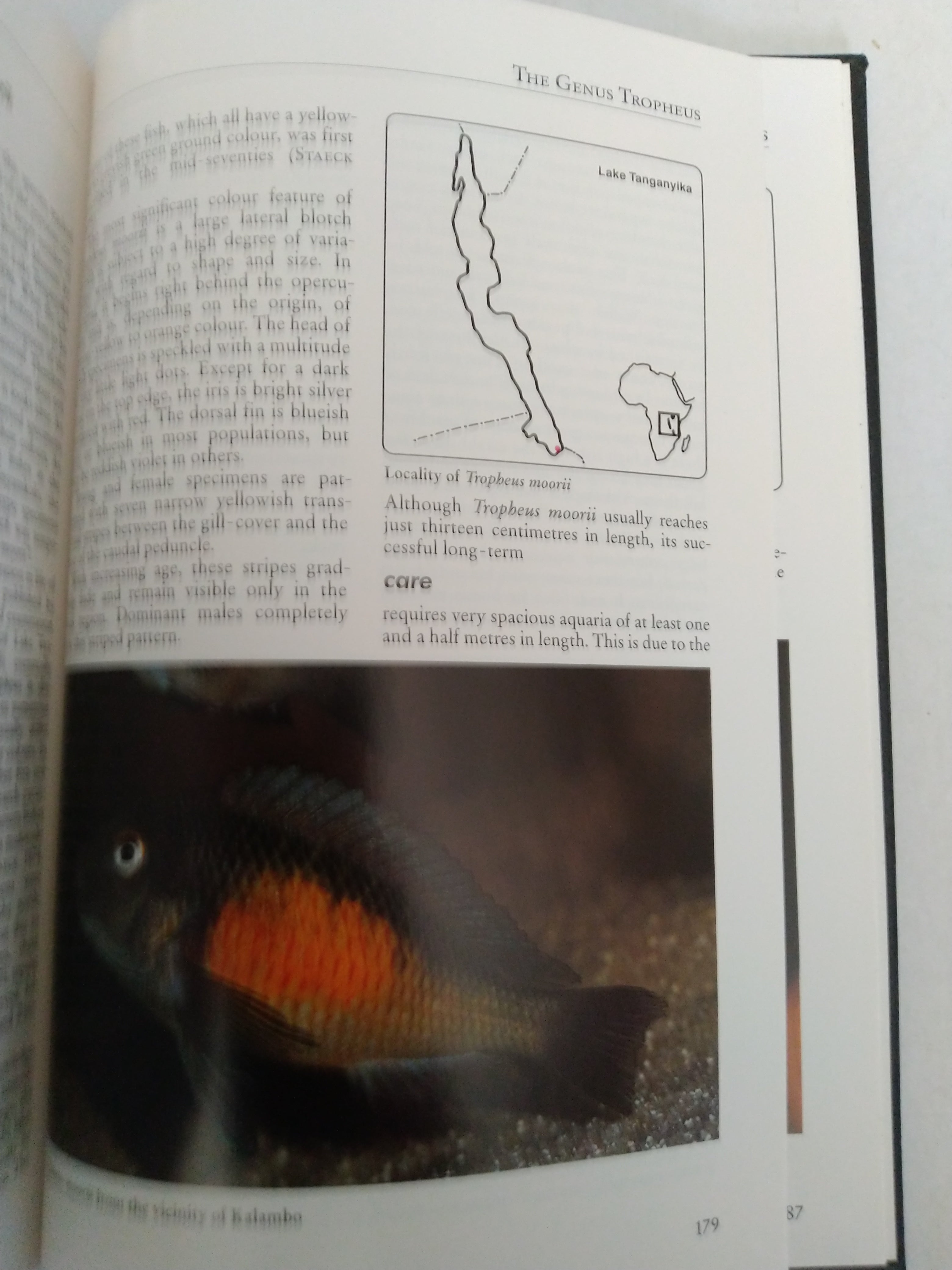 African Cichlids II: Cichlids from Eastern Africa : A Handbook for Their Identification, Care and Breeding by Wolfgang Staeck & Horst Linke