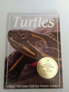 Turtles-Poster Book by John M. Mehrtens
