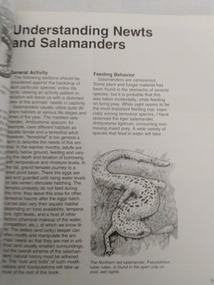 Newts and Salamanders by Frank Indiviglio
