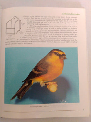 Bullfinches, Chaffinches and Bramblings: Popular British Birds in Aviculture by Peter Lander, Bob Partridge