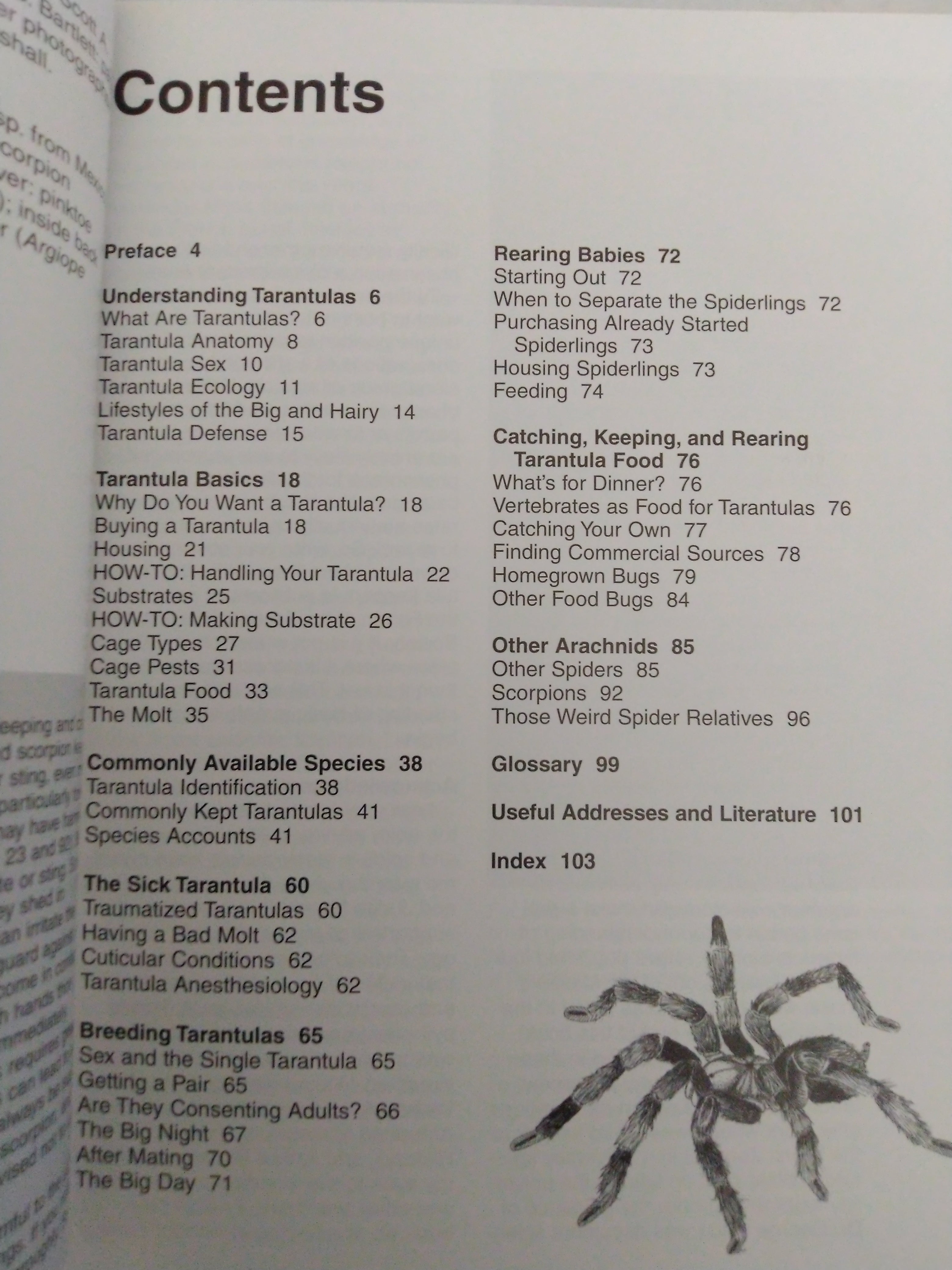 Tarantulas and Other Arachnids. by Samuel D. Marshall