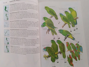 A Guide to the Birds of the Philippines by Robert S. Kennedy, Pedro C. Gonzales , Edward Dickinson , Hector C. Miranda Jr. , Timothy H. Fisher