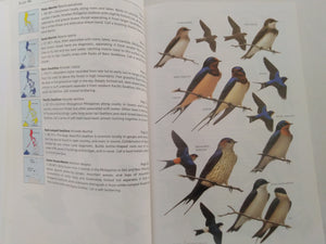 A Guide to the Birds of the Philippines by Robert S. Kennedy, Pedro C. Gonzales , Edward Dickinson , Hector C. Miranda Jr. , Timothy H. Fisher