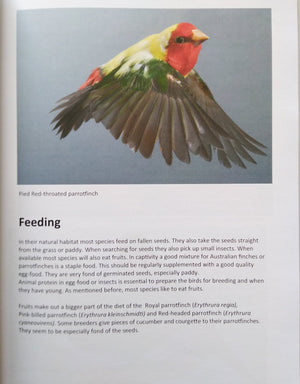 Parrotfinches and their Mutations by Rik Meerema