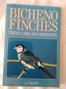 Bicheno Finches ( Owl Finches ) by A J Mobbs