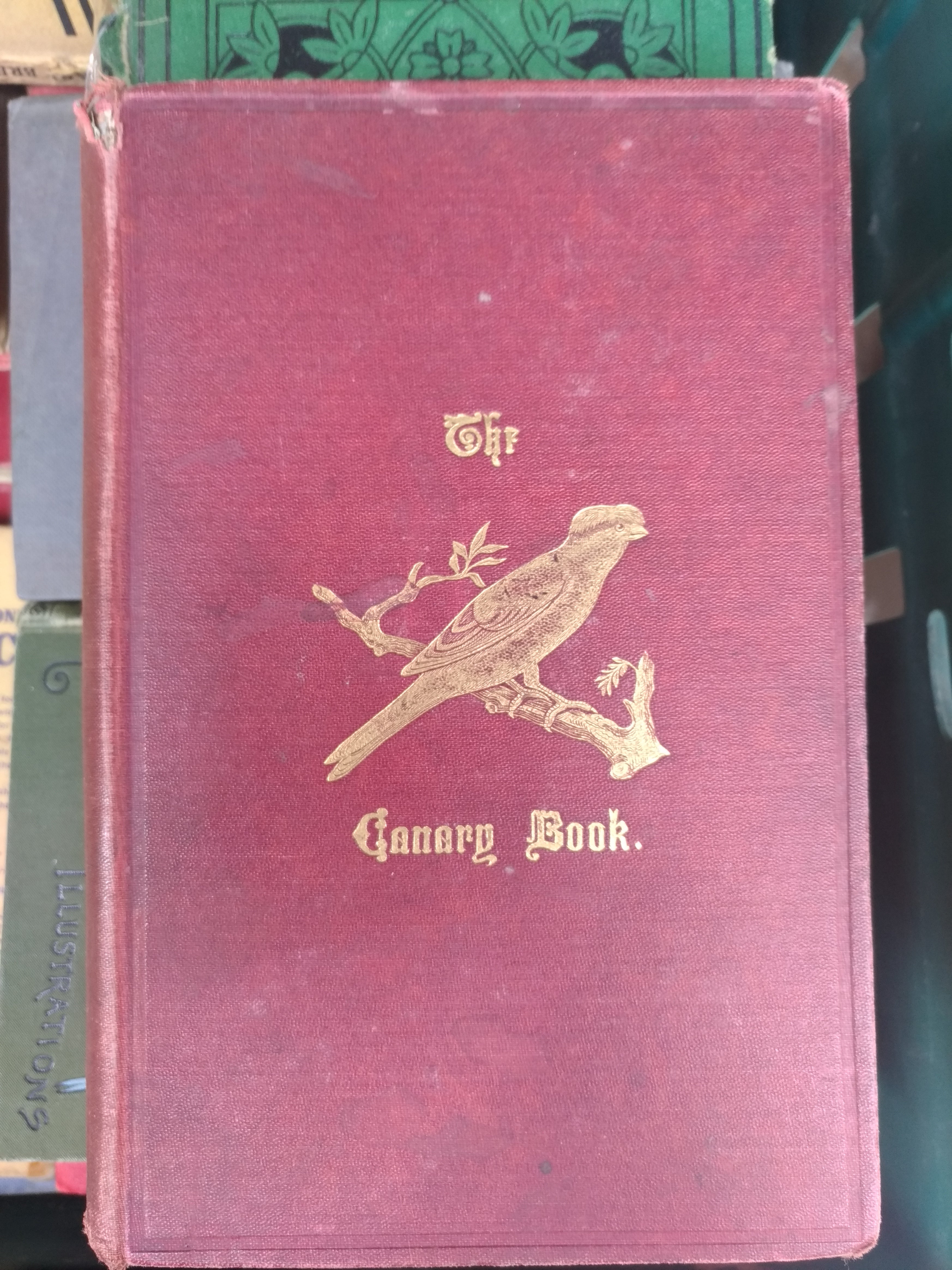 The Canary Book 1894