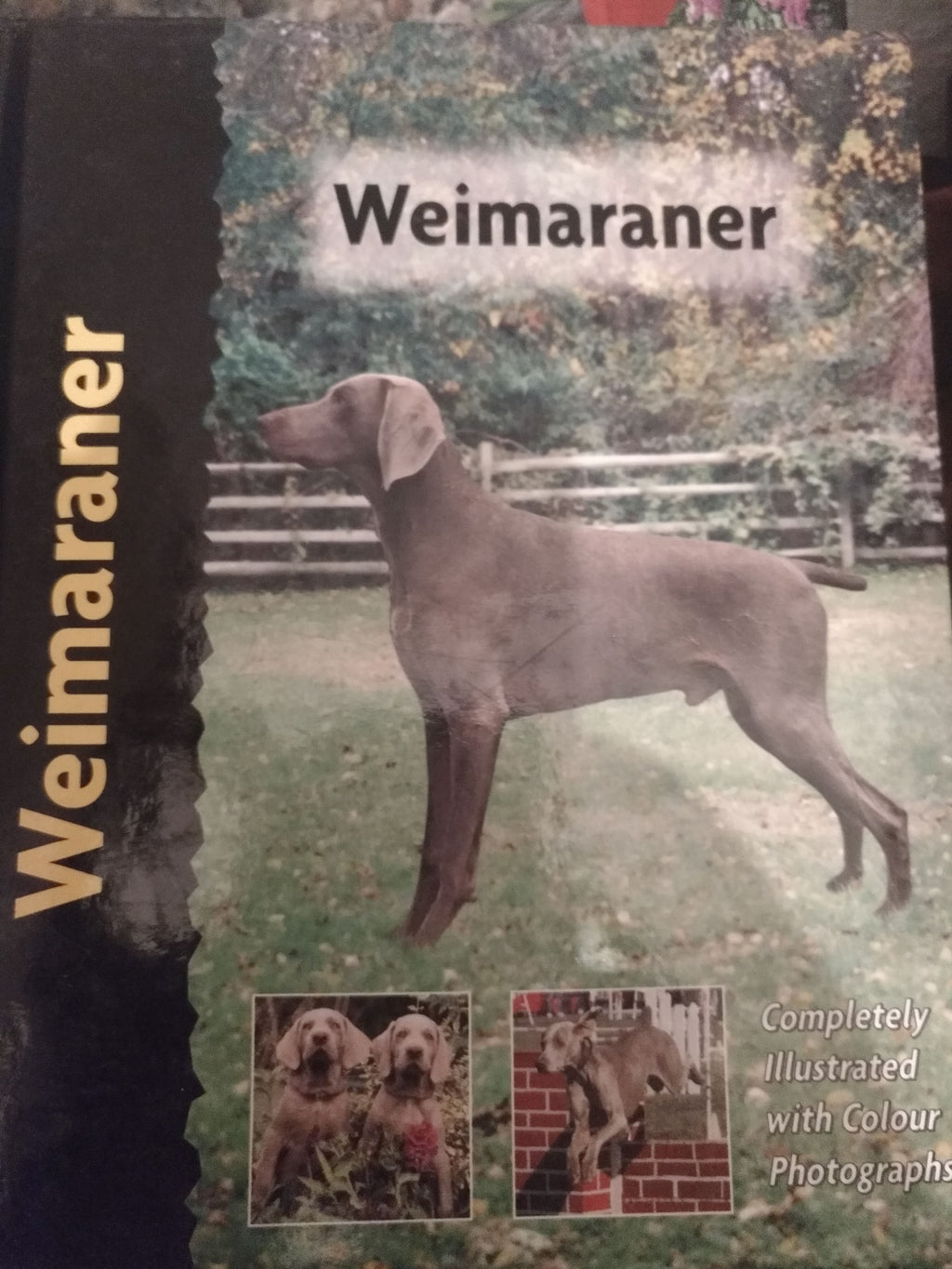 Weimaraner (Pet Love) by Lavonia Harper
