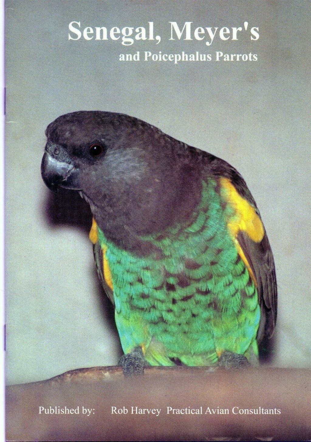 Senegal, Meyer's And Poicephalus Parrots Rob Harvey And Practical Avian Consultants