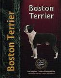 Boston Terrier (pet love)