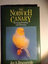 The Norwich Canary by Joe Bracegirdle
