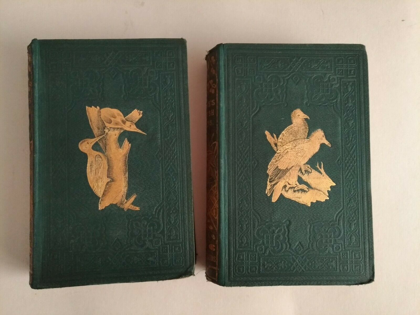 Rev F. O. Morris 1864-66 "A History of British Birds" 6 Volume Set