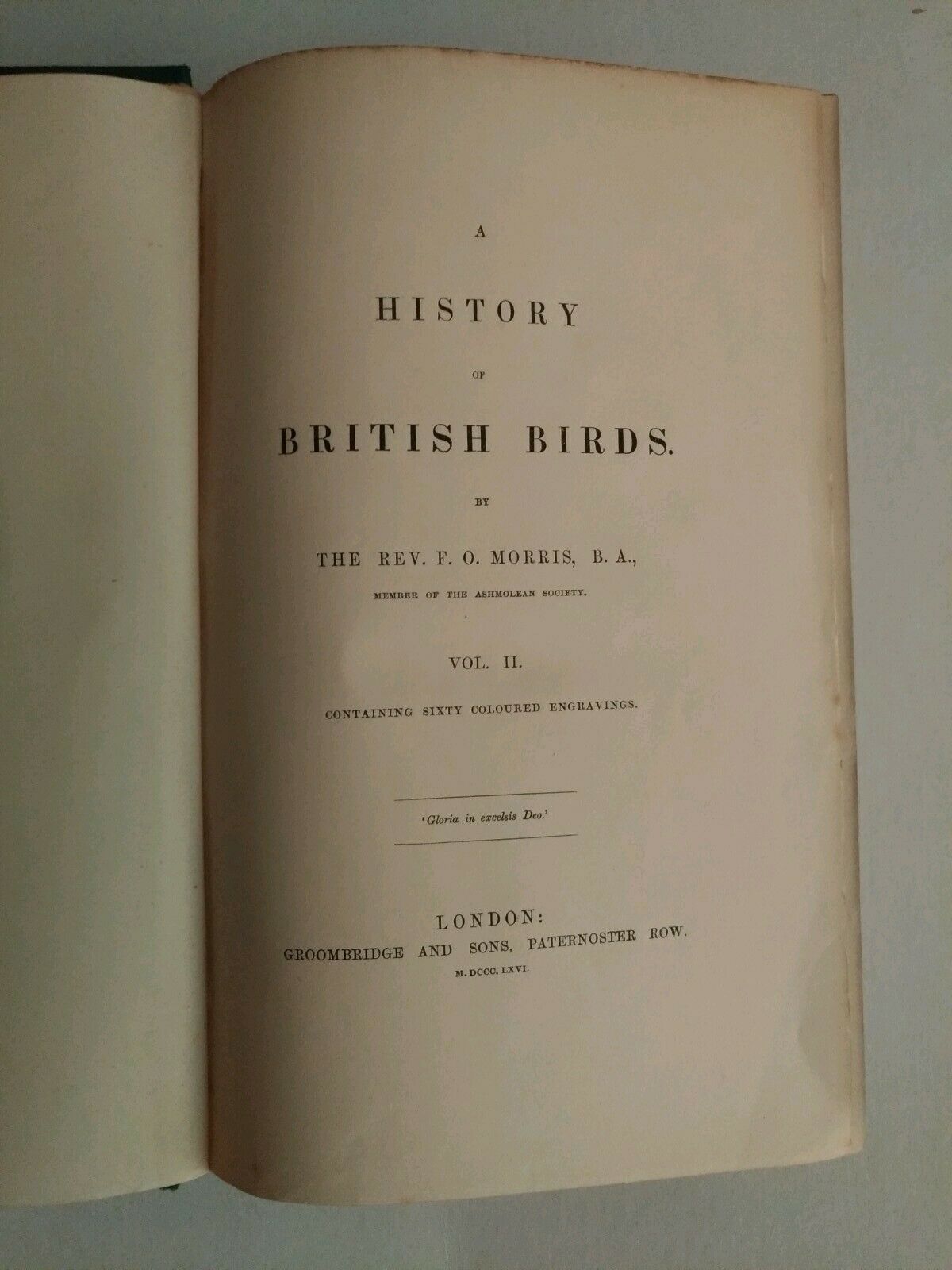 Rev F. O. Morris 1864-66 "A History of British Birds" 6 Volume Set