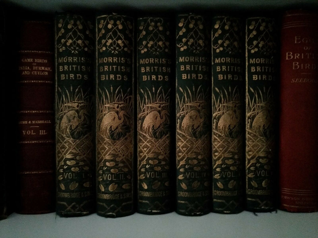 Rev F. O. Morris 1864-66 "A History of British Birds" 6 Volume Set
